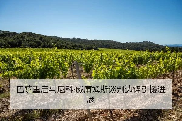 巴萨重启与尼科·威廉姆斯谈判边锋引援进展